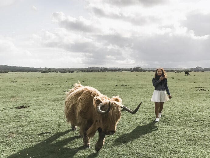 Fille en jupe blanche marchant à côté d'une vache des Highlands