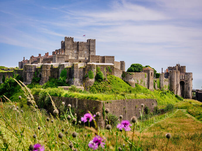 Medieval stone castle with towers atop green hill, surrounded by walls and wildflowers under a blue sky.