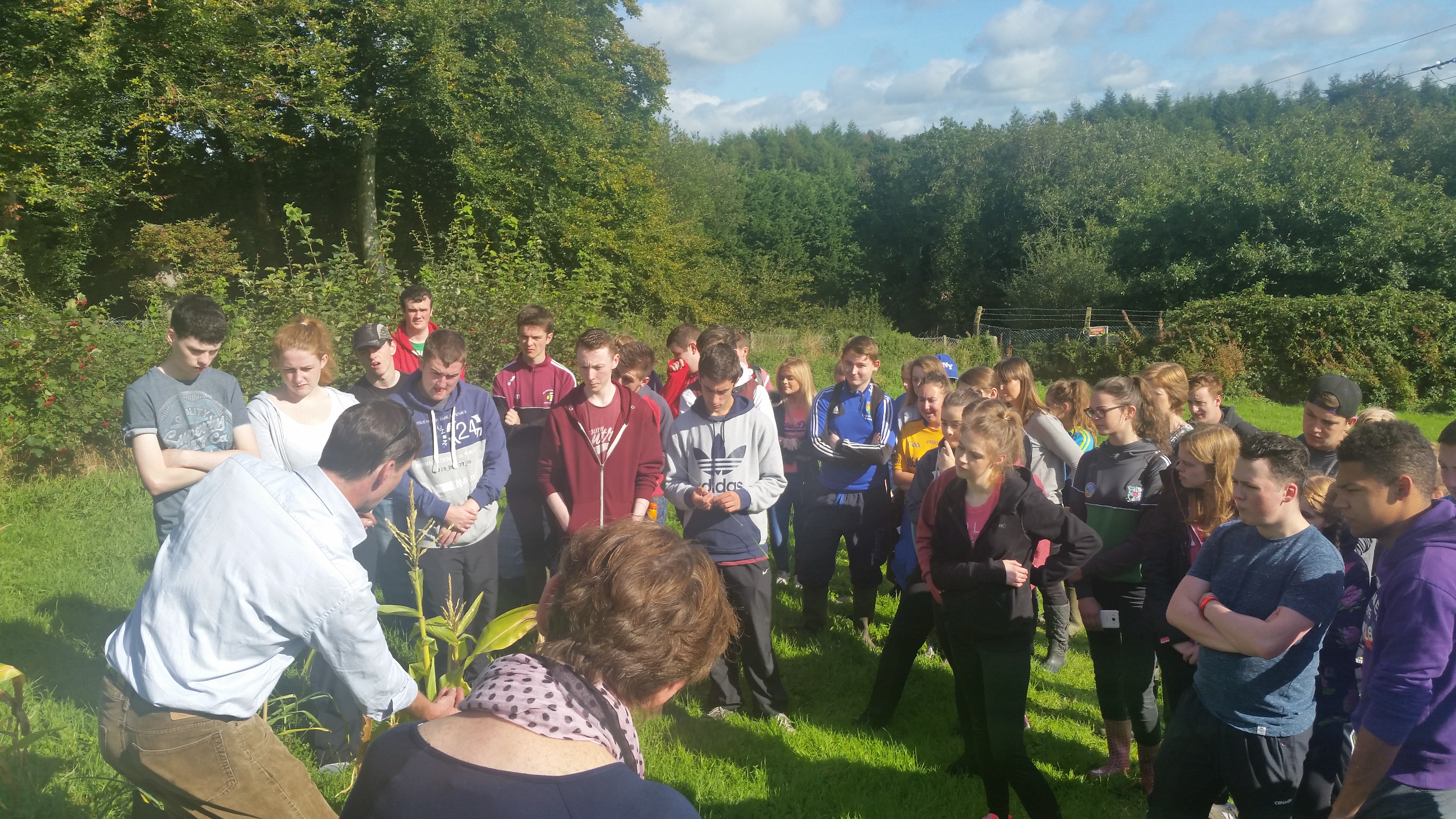 Visitantes disfrutando de una excursión de HartyCulture para recolectar alimentos silvestres y conocer la naturaleza
