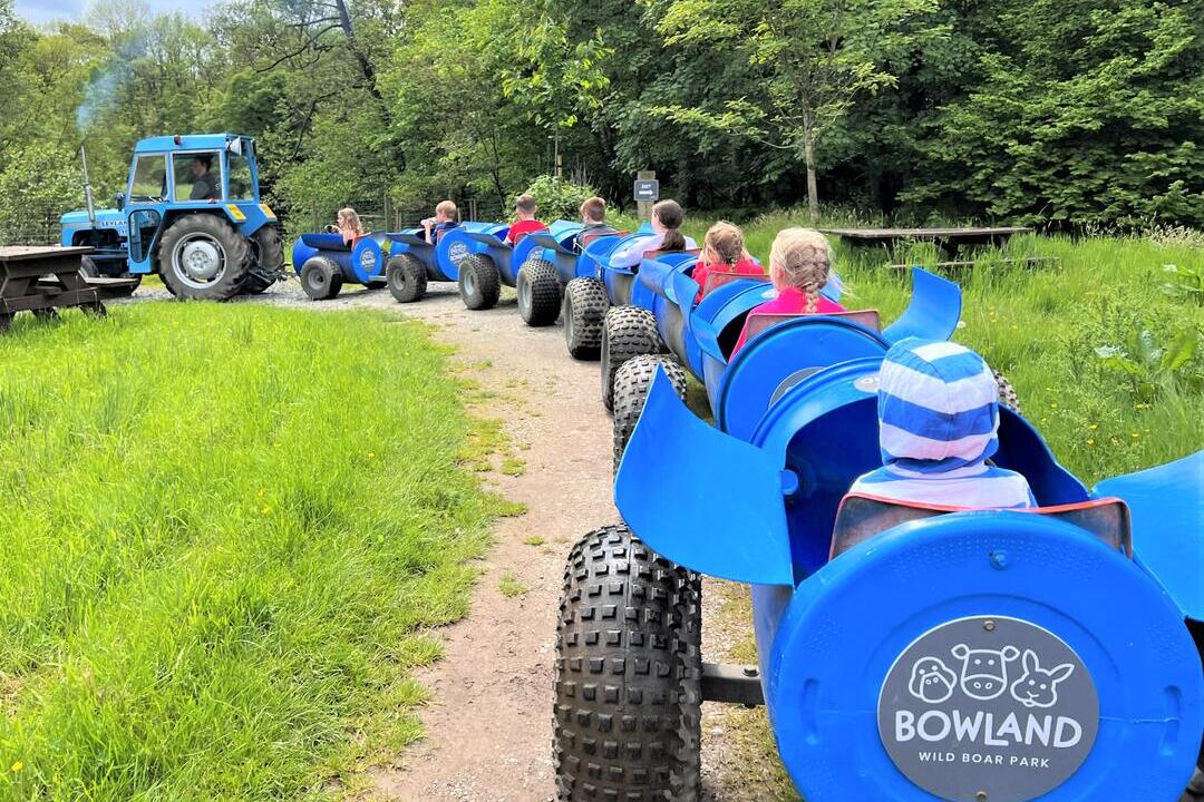 Children being driven around Bowland Wild Boar Park on a land train