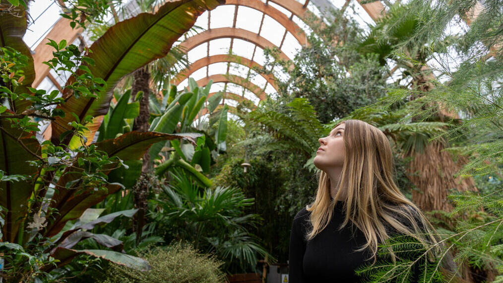 A person looking up while standing in a lush indoor greenhouse filled with various tropical plants and green foliage.