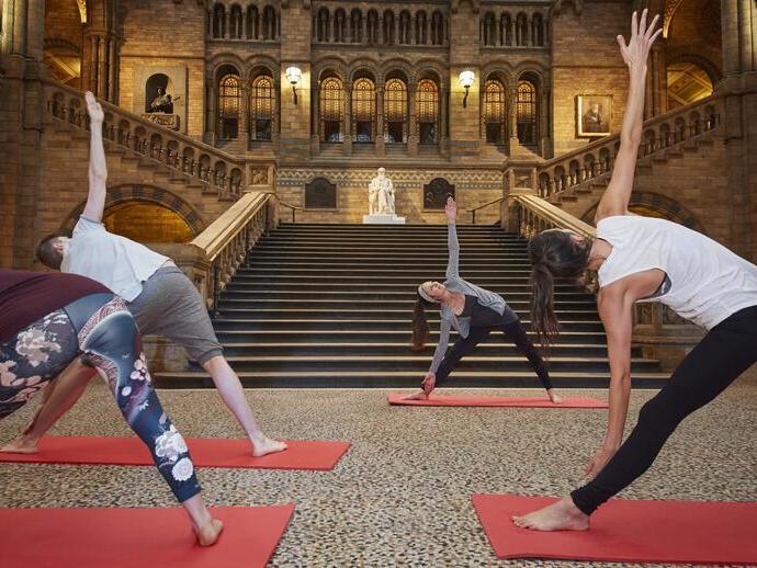 A yoga session taking place inside a museum