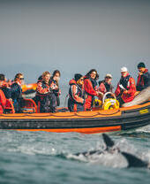 Excursiones en barco a la isla de Ramsay