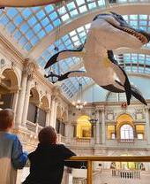 Children looking at museum exhibit