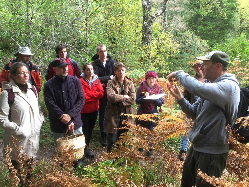 A group of people on a foraging tour on the outskirts of London