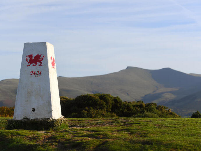 Cartello con un drago in mezzo a un grande campo.