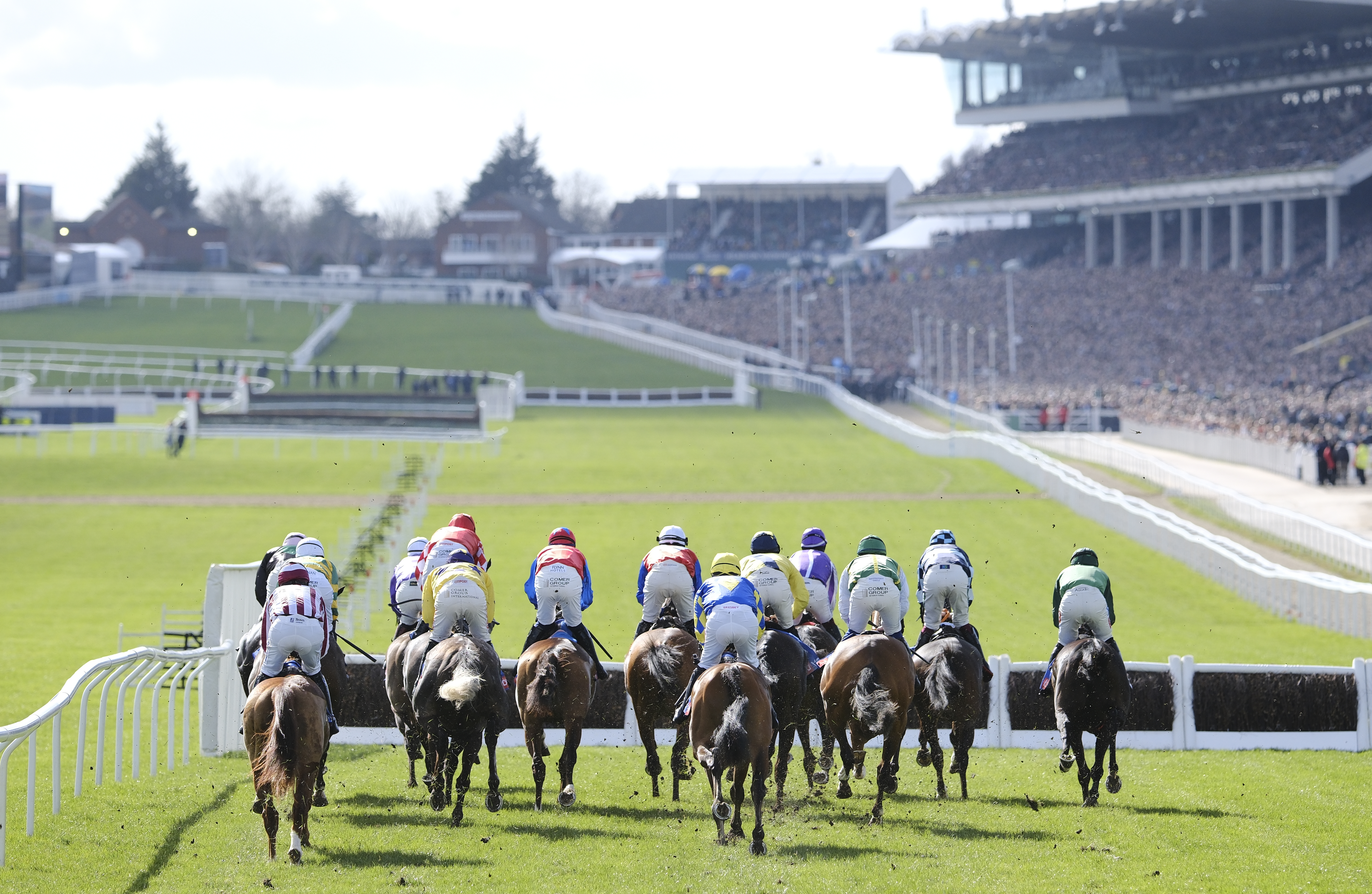 Horses with jockeys competing at horse race