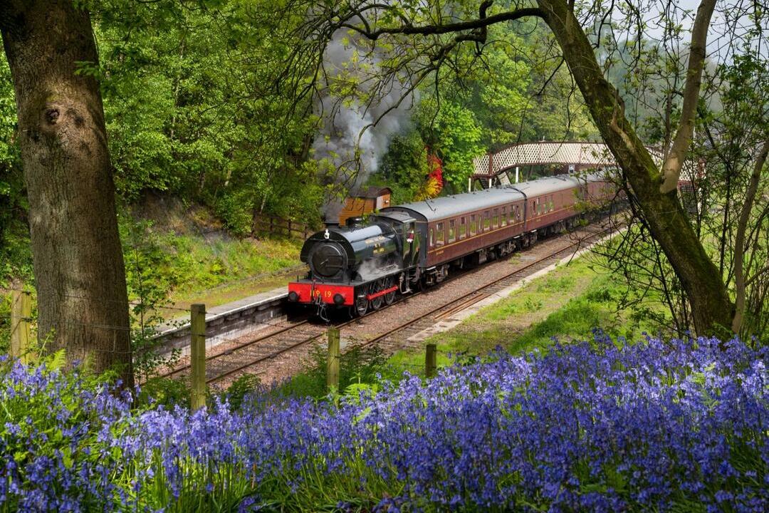 قطار بخاري يخرج منه الكثير من البخار، يجر ما لا يقل عن ثلاث عربات قديمة، يستعد للمغادرة من محطة سكة حديد تقليدية صغيرة.