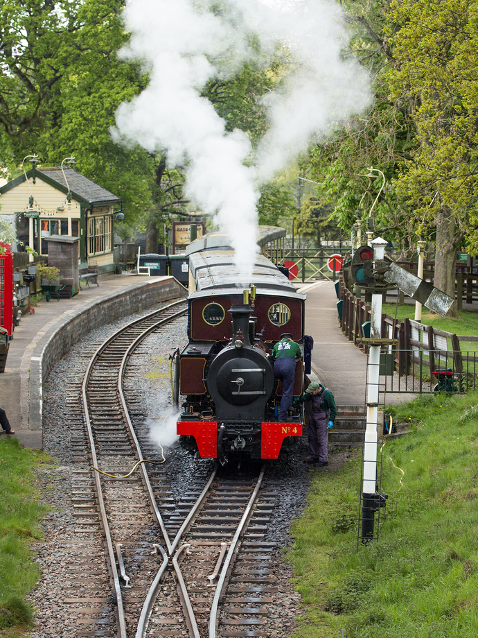 A steam train travelling through a zoo.