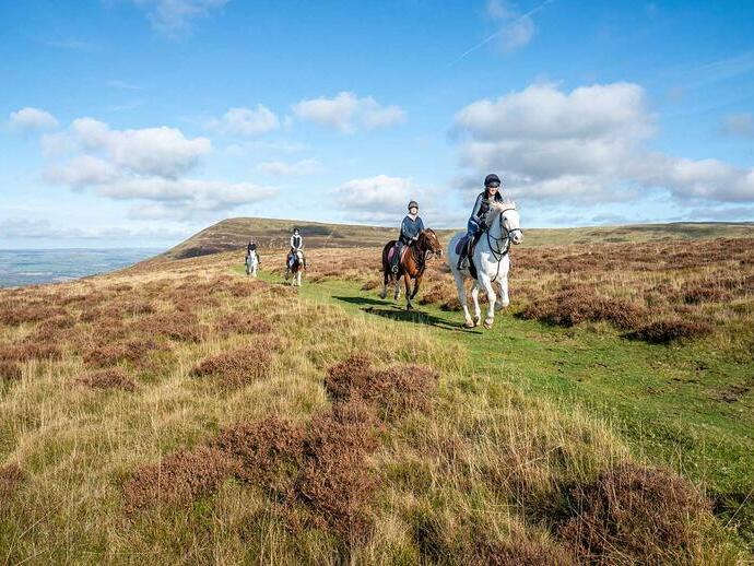 Menschen reiten auf Pferden über grasbewachsene Hügel unter blauem Himmel mit Wolken.