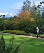 Person walking through Barnett Demesne Park
