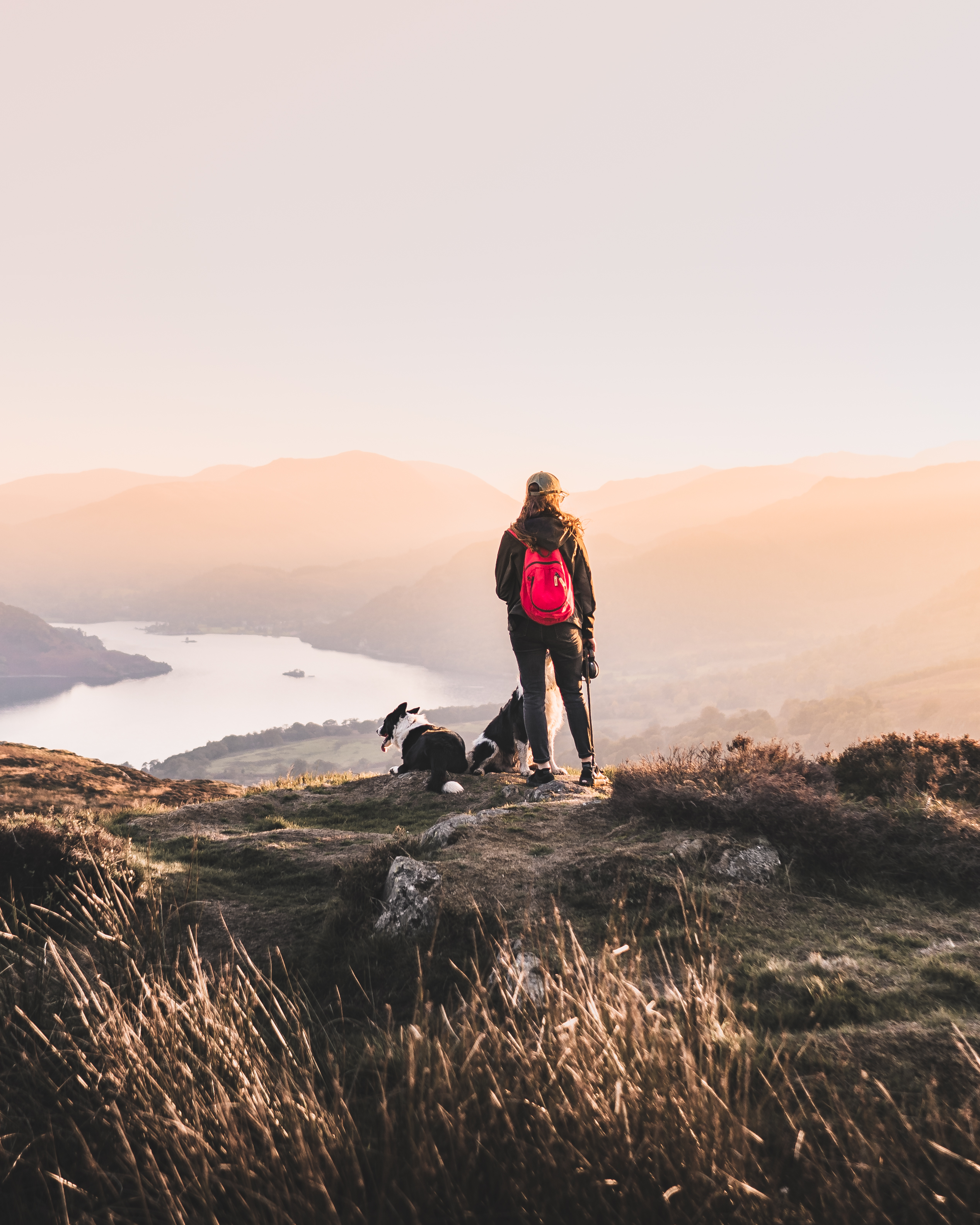 Woman with two dogs at the top of a fell looking down towards a lake below