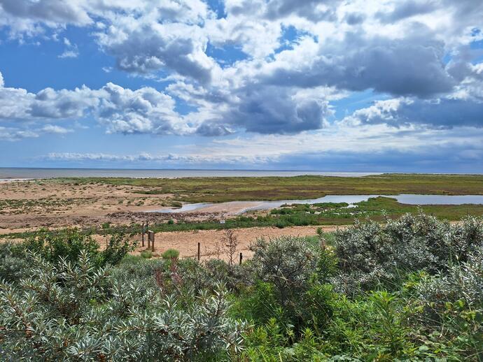 Coastal landscape with sandy beach, green vegetation, shallow pools, and dramatic cloudy sky. No significant buildings visible.