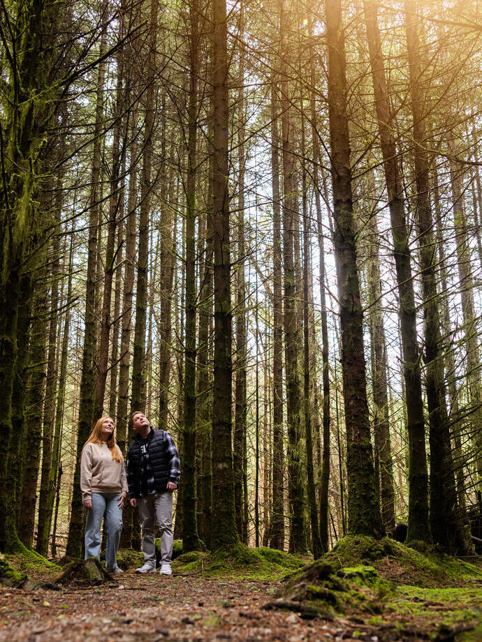A man and a woman stand among tall trees in a forest