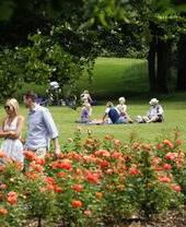 Visitors enjoying a summer’s day in Sir Thomas and Lady Dixon Park