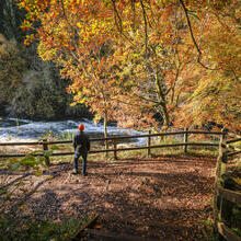 A person exploring a nature reserve on an autumnal day with a river flowing by.