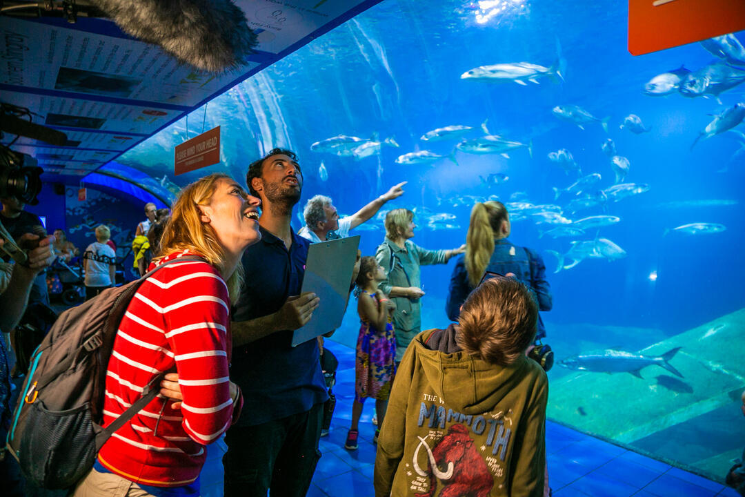 Groups of people walking through an underwater tunnel, looking at fish at Plymouth National Marine Aquarium