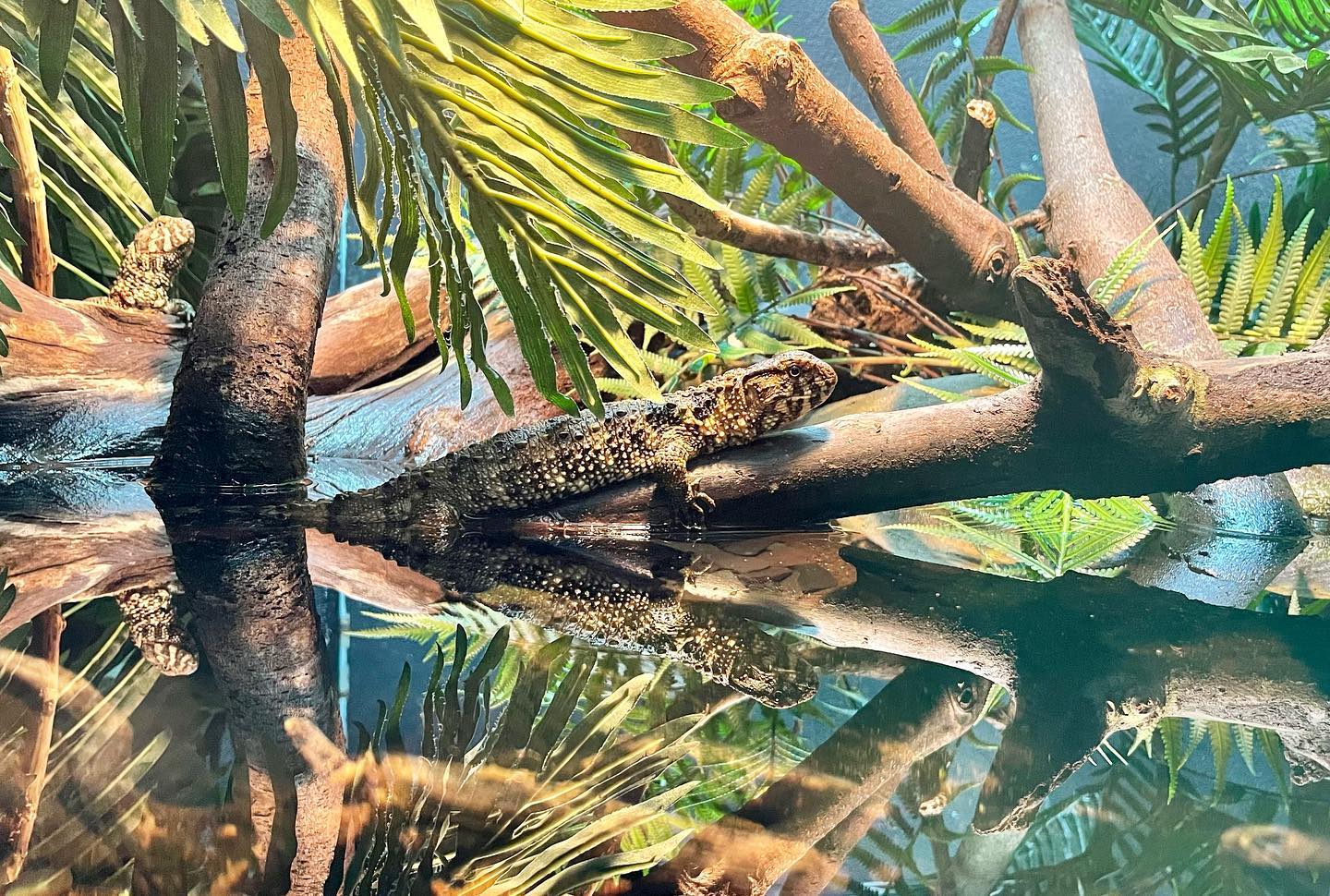 Reptile House, London Zoo