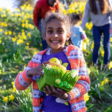 A girl standing in a field of daffodil flowers