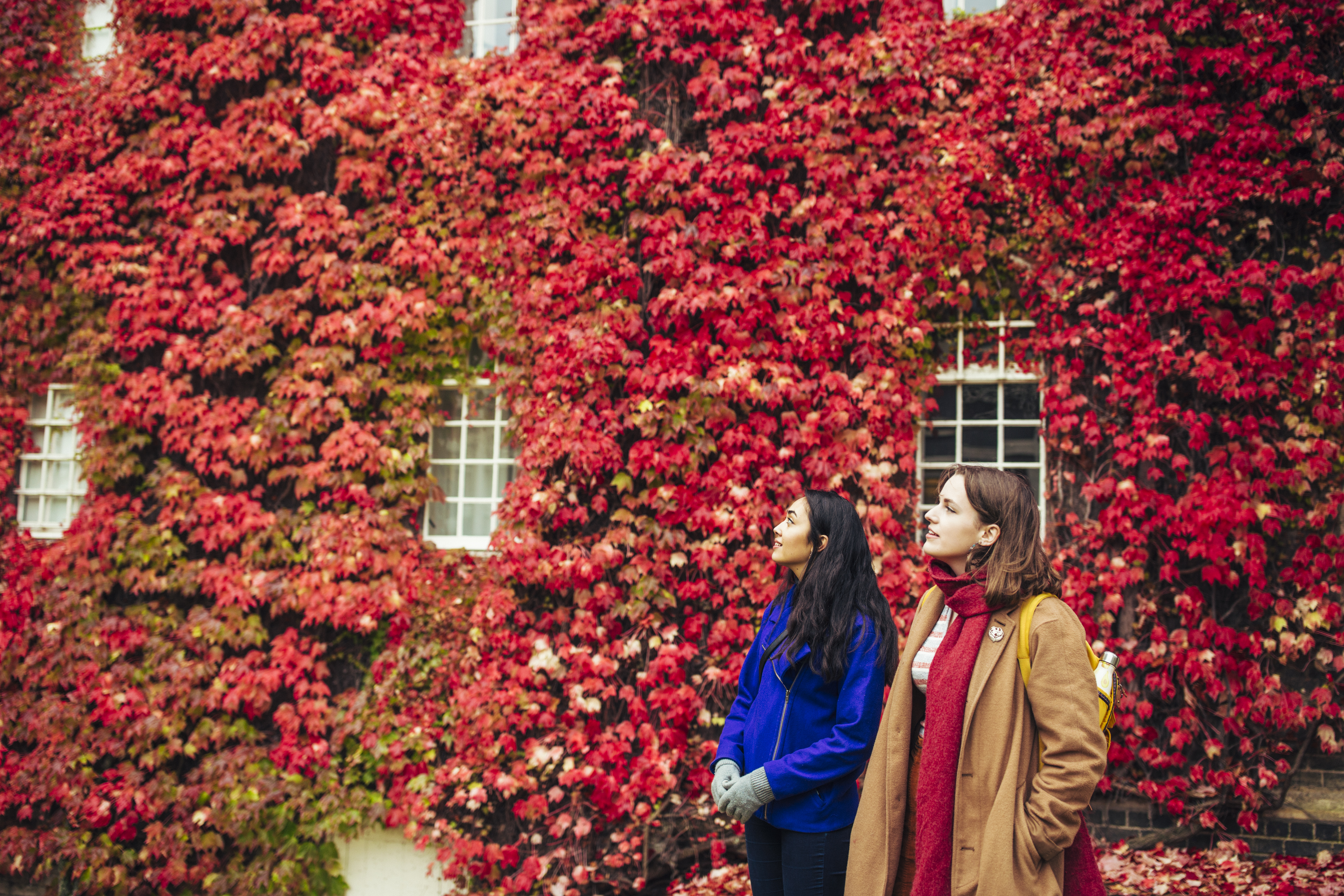 Two women in front of ivy covered wal