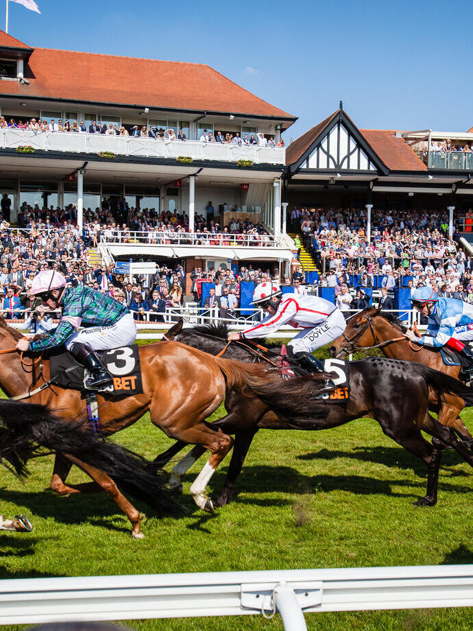 Horses racing past the grandstand at Chester Racecourse