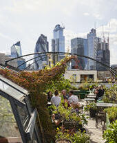 People sitting on a roof terrace with the city skyline behind them.