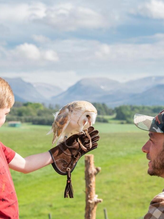 Boy holding an owl at Rothiemurchus Falconry