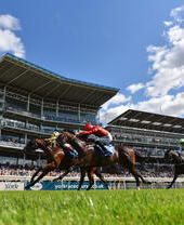 Horses racing past the grandstand at York Racecourse