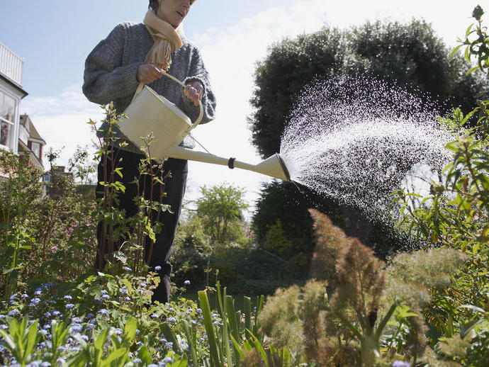 Woman watering a garden