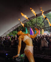 Woodland Disco Festival