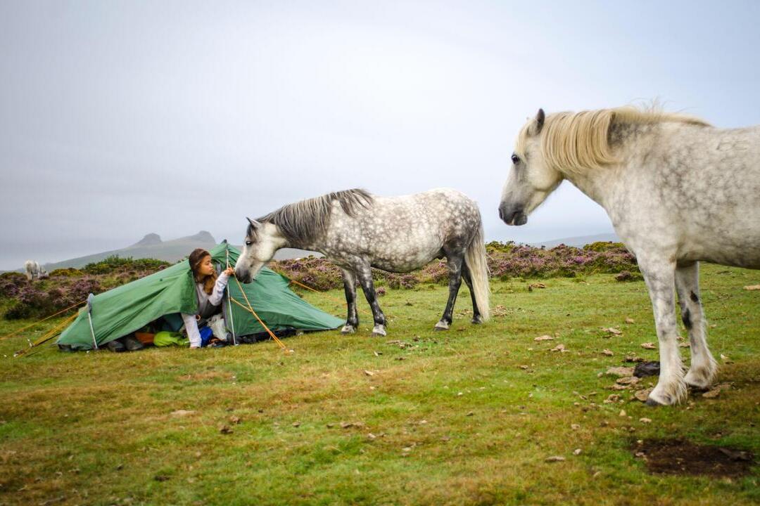 Wild camping on Dartmoor National Park- Devon -UK