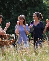 A group of people talking - Northern Wilds