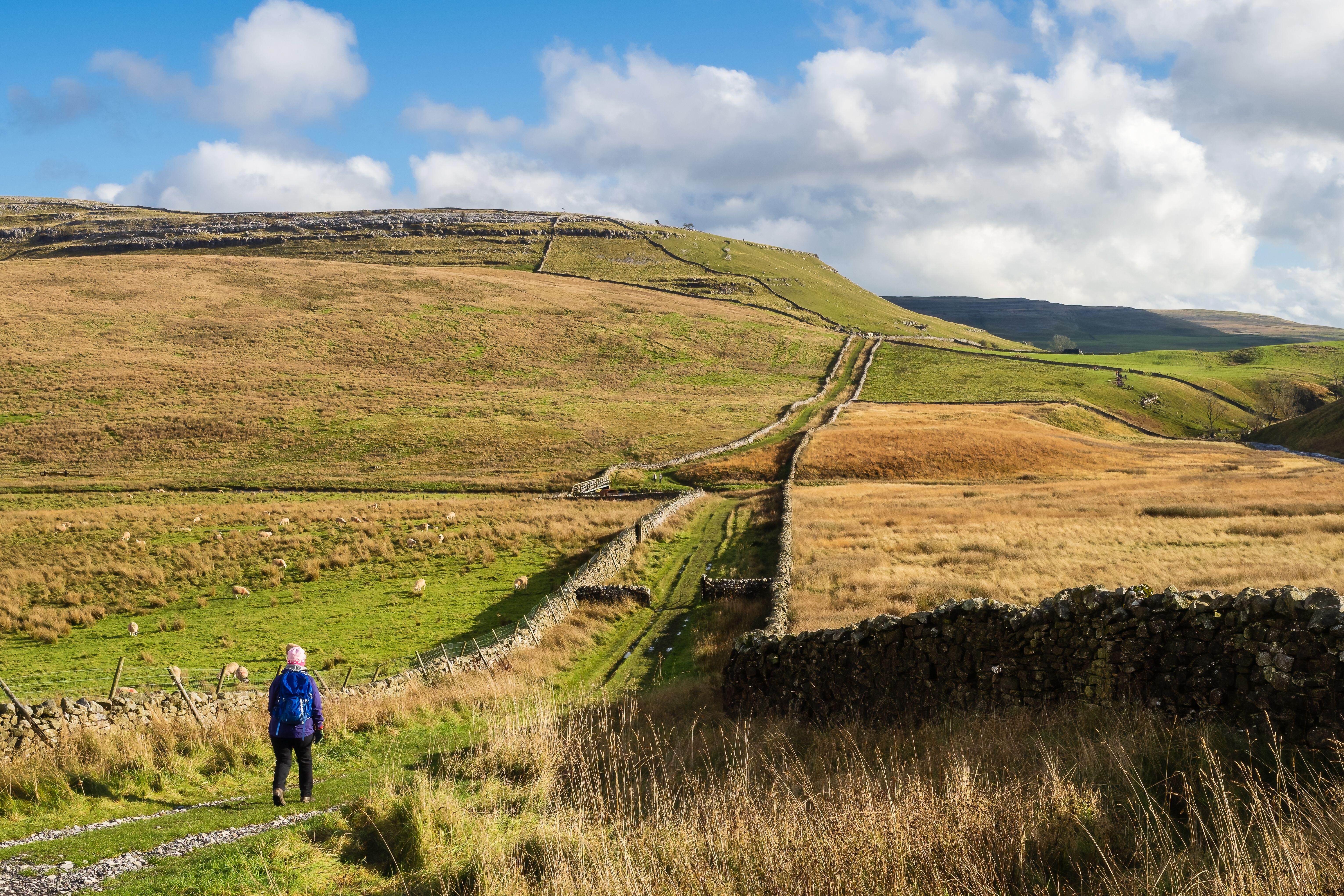 Woman wearing purple jacket and carrying a blue rucksack walking in the countryside