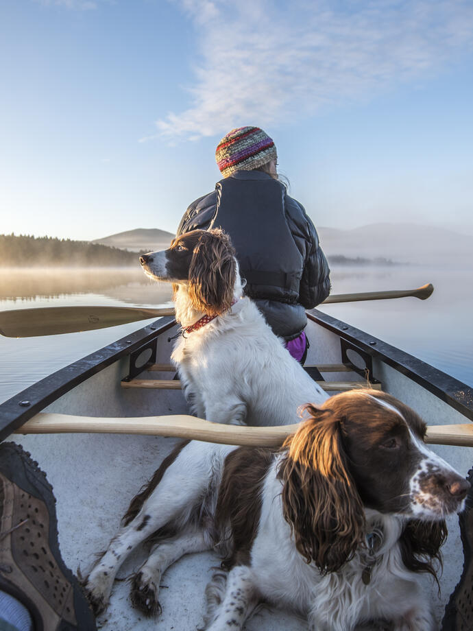 Woman in a rowing boat with two dogs on a lake