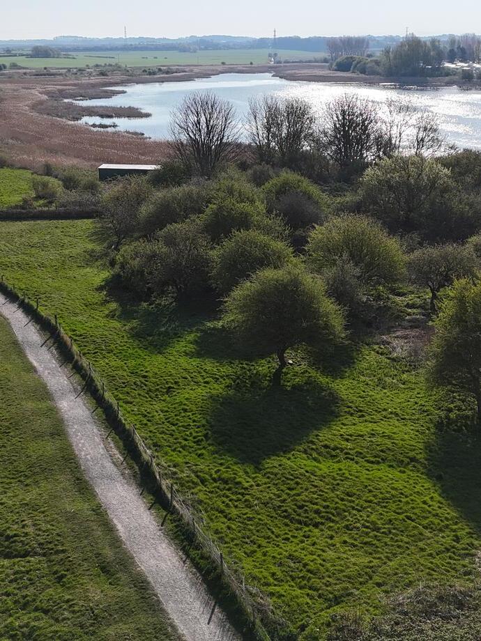 Countryside sunny view overlooking paddocks and a large nature reserve.