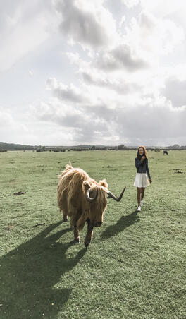 Girl, in a white skirt, walking beside a Highland cow