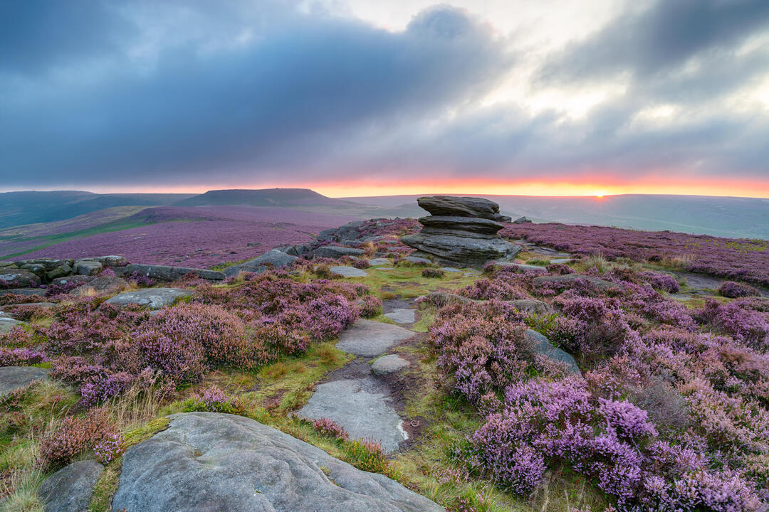 View across a moor towards the horizon at sunrise with purple heather and boulders in the foreground 