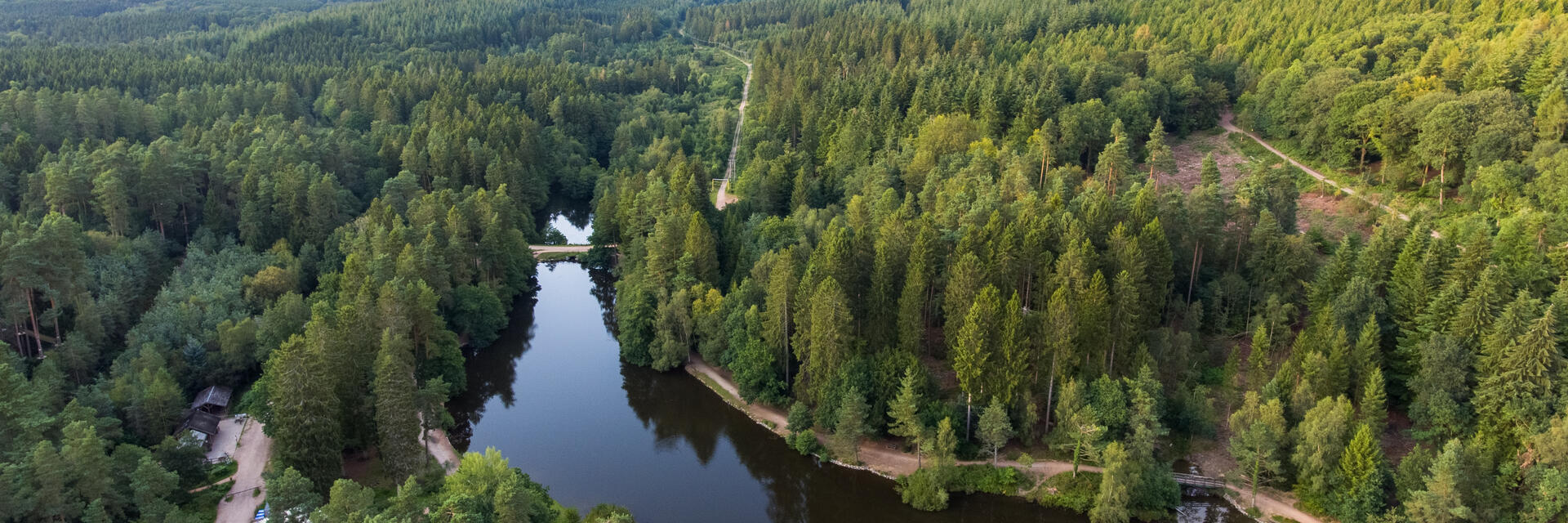 An aerial view of of a large forest and its winding river.