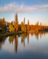 See und Bäume im Hyde Park