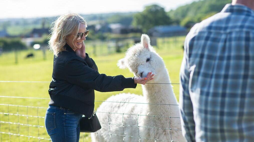 Donna che dà da mangiare a un alpaca