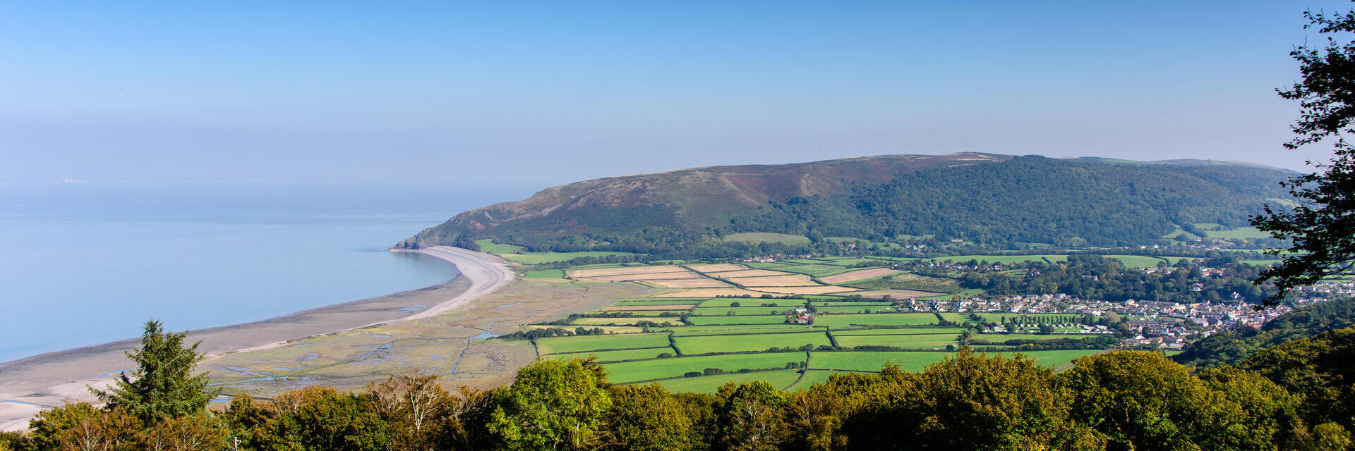 View of the coast with sheep grazing nearby